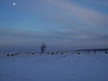 Snowy field with bales of hay and a lone tree at dusk with moon in the sky