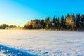 Snowy field with a forest background under a clear blue sky