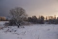 Snowy field at sunset in winter. Beautiful sky. The sky before the snow. Gray sky and sun. Evening sun Winter sunset Royalty Free Stock Photo