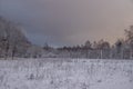 Snowy field at sunset in winter. Beautiful sky. The sky before the snow. Gray sky and sun. Evening sun Winter sunset Royalty Free Stock Photo