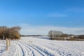 A snowy field in winter in Sauerland Royalty Free Stock Photo