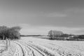A snowy field in winter in Sauerland Royalty Free Stock Photo