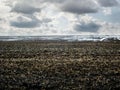 Snowy field in winter and stubble, seasons in agro. winter landscape of plowed field, the ground is covered in places with a layer Royalty Free Stock Photo