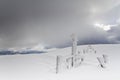 Snowy fields, winter in the Vosges, France.