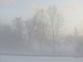 Snowy Foggy Evening in the Winter with trees silhouetted in the fog against the blue sky Royalty Free Stock Photo