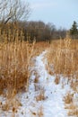 Snowy foot path though the field