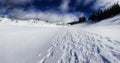 A Snowy Footpath Royalty Free Stock Photo