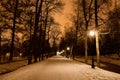 Snowy footpath in night park, trees and street lights, sepia Royalty Free Stock Photo