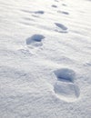 Snowy Footprints