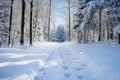 snowy footprints leading towards a forest trail Royalty Free Stock Photo
