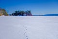 Snowy Footsteps on a Frozen Lake Royalty Free Stock Photo