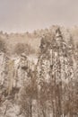 Snowy forest hills in blizzard hokkaido japan Royalty Free Stock Photo