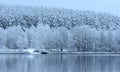 Snowy forest by the lake. Misty winter panorama.