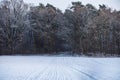 Snowy Forest Landscape