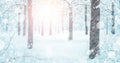 Snowy Forest Landscape In Winter Blizzard Royalty Free Stock Photo