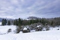 Snowy forest on mount gorbea in northern Spain Royalty Free Stock Photo