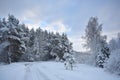 Snowy forest near white winter road . Beautiful Lithuania winter