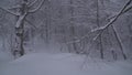 Snowy forest on North slope Aibga Ridge Western Caucasus at all-season resort Gorky Gorod stock footage video