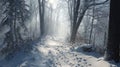 Snowy forest path with footprints, soft fog and morning winter light Royalty Free Stock Photo