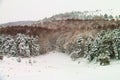 Snowy forest road - Abant - Bolu - Turkey