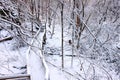 Snowy Forest Scenery Illinois Royalty Free Stock Photo