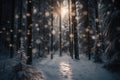 Snowy forest with tall trees covered in snow. In the center of the image, there\'s a small clearing. Royalty Free Stock Photo