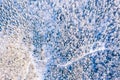 Snowy forest texture, aerial landscape. Nature in winter concept. Frozen environment Royalty Free Stock Photo