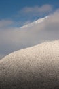 Snowy forest texture vertical Royalty Free Stock Photo