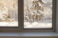 Snowy forest viewed through the window Royalty Free Stock Photo