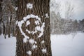 Snowy  Frosty Landscape  Smiley Face On Tree Royalty Free Stock Photo