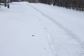 snowy and frosty weather in winter, a path cleared of snow in a city park Royalty Free Stock Photo