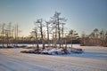 Snowy and frozen bog lake with tree-covered islands making long shadows under cold winter sun Royalty Free Stock Photo