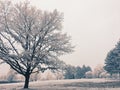 Snowy frozen landscape in winter