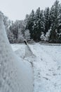 Snowy frozen metal fence,trees in backround.Winter snowy weather.Old forest fence with smaller holes destroyed under snow.Cloudy Royalty Free Stock Photo