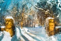 Snowy Gated Driveway Royalty Free Stock Photo