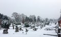 Snowy graveyard