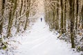 Snowy hike in golden light through a wooded trail