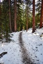 Snowy Hiking Trail Through a Forest Royalty Free Stock Photo