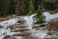 Snowy hiking trail Royalty Free Stock Photo