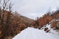 Snowy Hiking Trail views towards Lake Mountains Peak via Israel Canyon road towards Radio Towers in winter, Utah Lake, Wasatch Fro Royalty Free Stock Photo