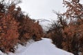 Snowy Hiking Trail views towards Lake Mountains Peak via Israel Canyon road towards Radio Towers in winter, Utah Lake, Wasatch Fro Royalty Free Stock Photo