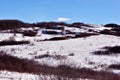 Snowy hills with thorn bushes, winter landscape, blue cloudy sky