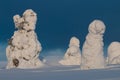 Snowy hilltop in Finnish Lapland Royalty Free Stock Photo