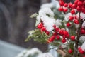 Snowy holly branches in decoration in the street Royalty Free Stock Photo