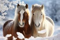 Snowy horses create a picturesque scene on a snowy backdrop