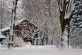 The snowy house