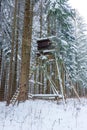 Snowy hunting high gamekeeper hidden in the middle of the forest.