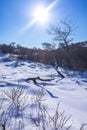 Snowy and ice winter landscape at the Amsterdamse Waterleidingduinen