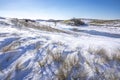 Snowy and ice winter landscape at the Amsterdamse Waterleidingduinen