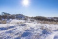 Snowy and ice winter landscape at the Amsterdamse Waterleidingduinen